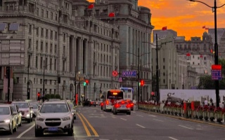 上海后花园论坛:这座城市的数字烟火气如何重塑线下生活? 上海后花园论坛:这座城市的数字烟火气如何重塑线下生活?